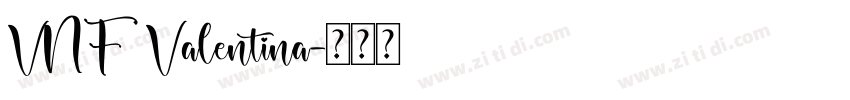 VNF Valentina字体转换
